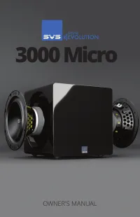 SVS MICRO3000GB