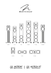 MartinLogan MP10GB