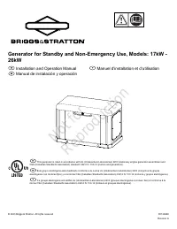 Briggs & Stratton 40756