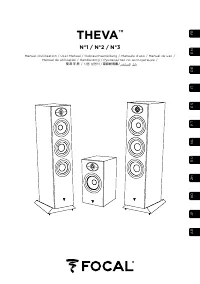 Focal FTHEVAN2DW