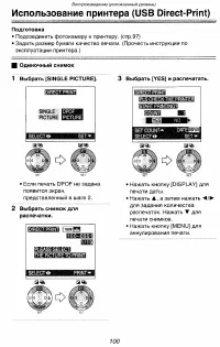 Страница 100