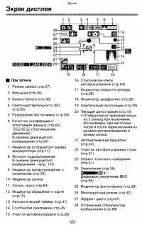 Страница 103