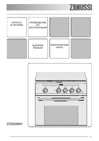 Zanussi ZCE 560 MW1