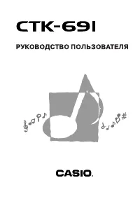 Casio CTK-691