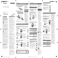 Sony ICD-B600