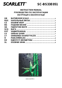 Scarlett SC-BS33E051