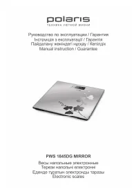 Polaris PWS 1845DG Mirror