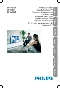 Philips 29PT9521