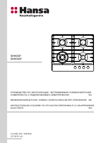 Hansa BHKW 611301