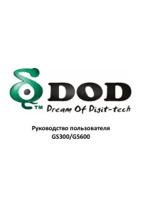 DOD GS300