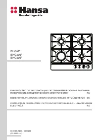 Hansa BHGS6515506