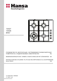 Hansa BHKS6515516