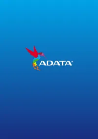 ADATA 960