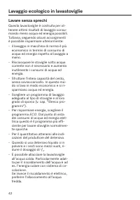 Pagina 42
