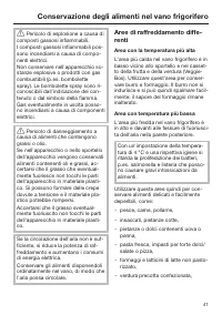 Pagina 41