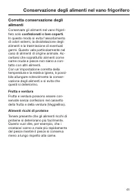 Pagina 43
