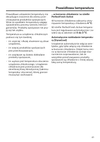Strona 41