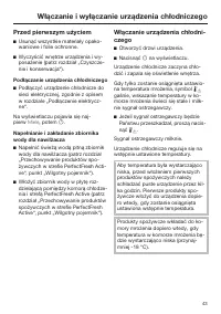 Strona 43