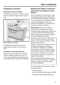 Strona 41