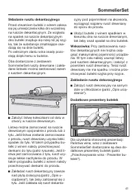 Strona 41