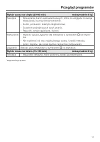 Strona 17