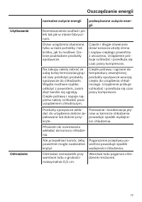 Strona 17