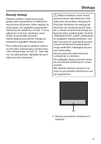 Strona 31