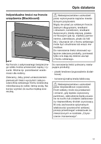 Strona 17