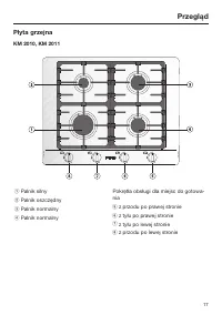 Strona 17