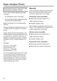 Strona 38