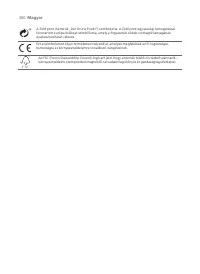 Page 300