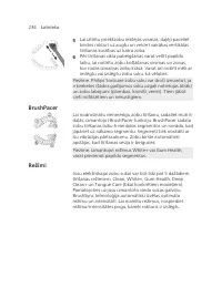 Page 234