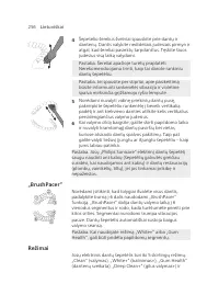 Page 256