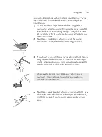 Page 291