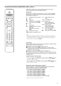 Strona 31