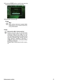 Strona 17