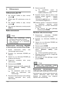 Strona 17