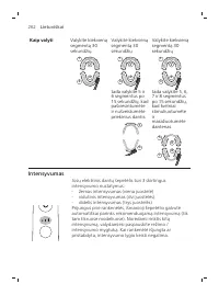 Page 262