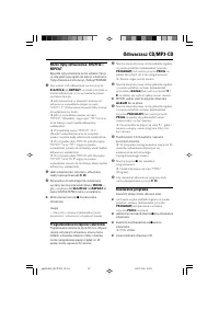 Strona 17