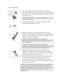 Page 238