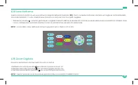 Pagina 19