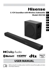 Hisense HS3100
