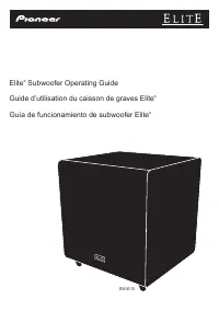Pioneer SW E10