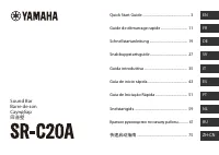 Yamaha ANAD 420FIOT W