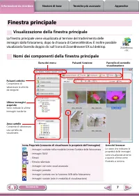 Pagina 7