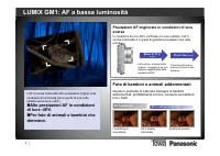 Pagina 8