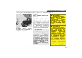 Страница 295