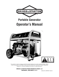 Briggs & Stratton 030551-00