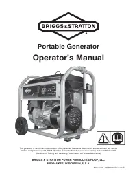 Briggs & Stratton 030550-01